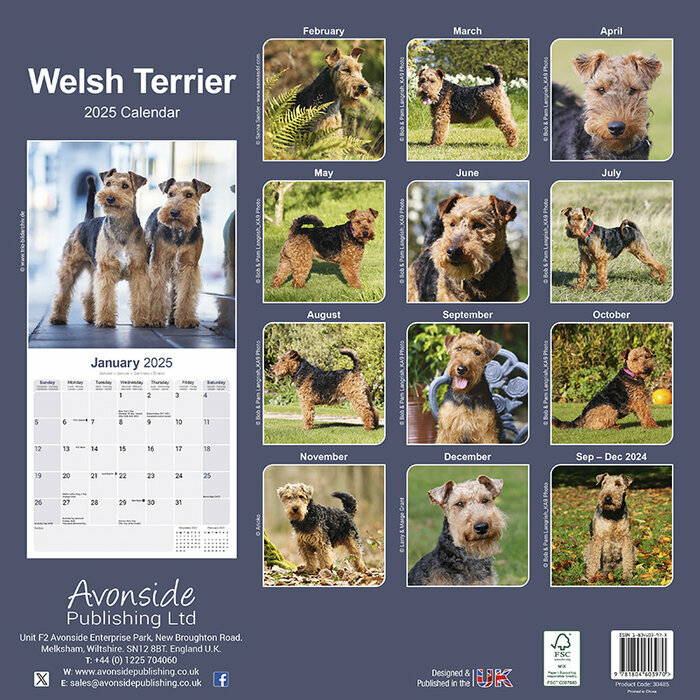 Calendrier 2025 Welsh terrier