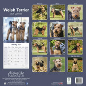 Calendrier 2025 Welsh terrier