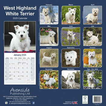 Calendrier 2025 West Highland White Terrier