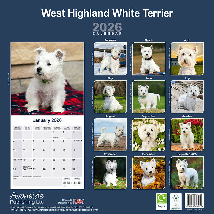 Calendrier papier Westie 2026