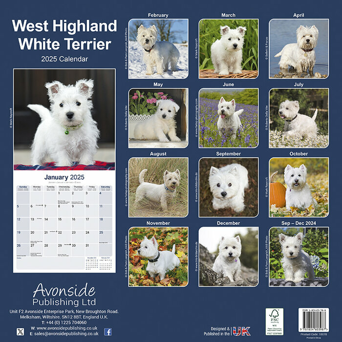 Calendrier West Highland White Terrier 2025