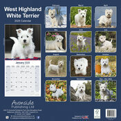 Calendrier West Highland White Terrier 2025