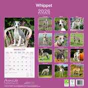 Calendrier Mural 2025 Whippet