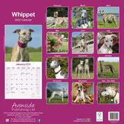 Calendrier Mural 2025 Whippet