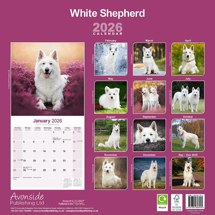 Calendrier papier 2026 Berger Blanc Suisse