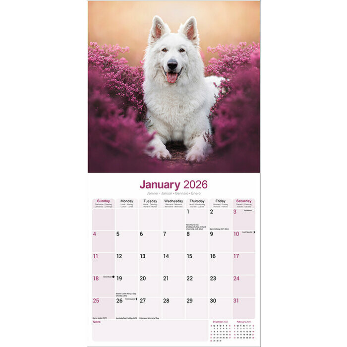 Calendrier 2026 Berger Blanc Suisse
