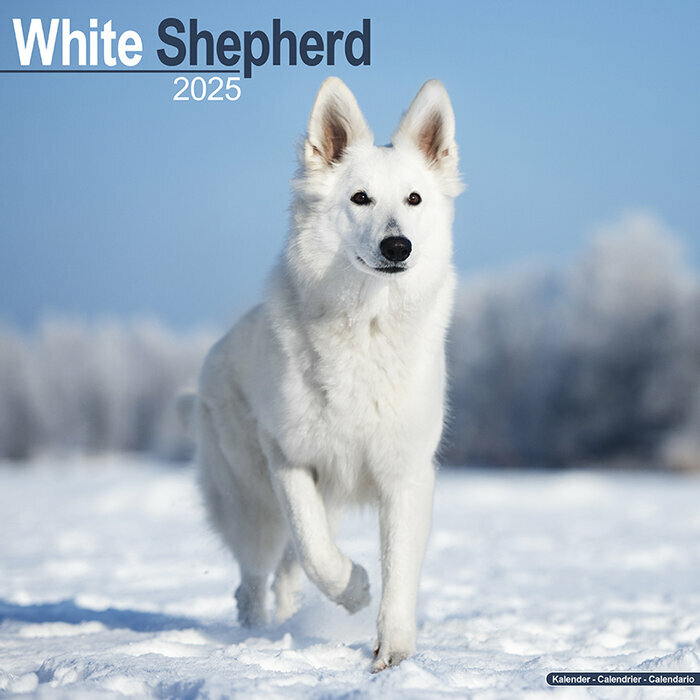 Calendrier Mural 2025 Berger Blanc Suisse