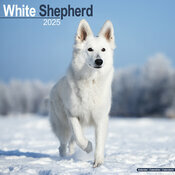 Calendrier Mural 2025 Berger Blanc Suisse