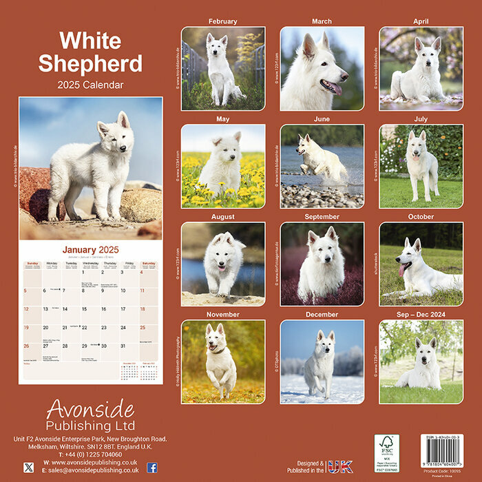 Calendrier 2025 Berger Blanc Suisse