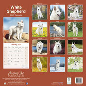 Calendrier 2025 Berger Blanc Suisse