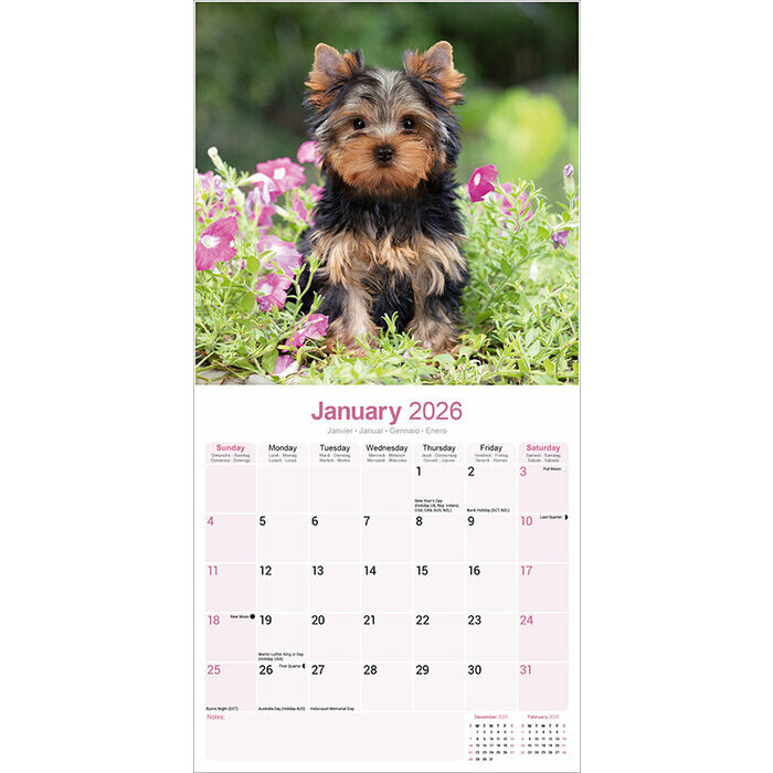 Calendrier Yorkshire Terrier 2026