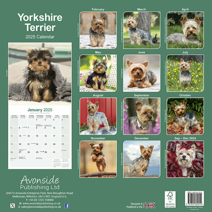 Calendrier Mural 2025 York Terrier