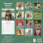 Calendrier Mural 2025 York Terrier