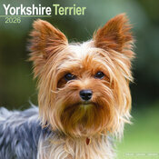 Calendrier Yorkshire Terrier 2025