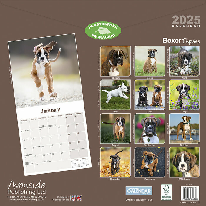 Calendrier Mural Boxer 2025