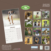 Calendrier Mural Boxer 2025
