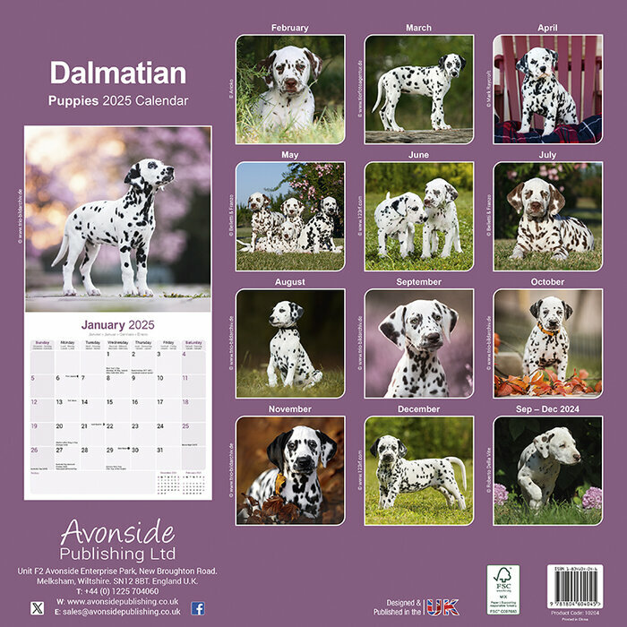 Calendrier Chiots Dalmatien 2025