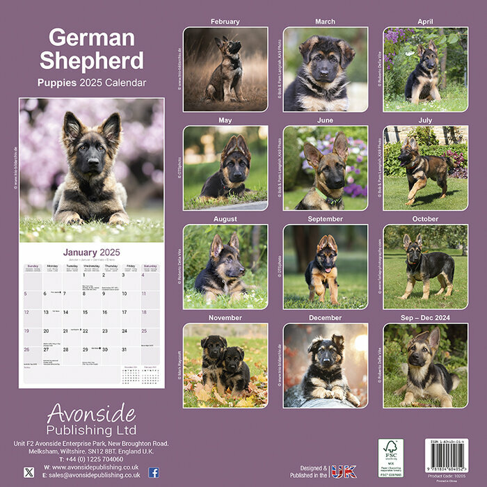 Calendrier Chiot Berger Allemand 2025