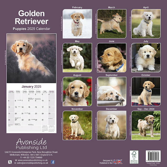 Calendrier Mural 2025 Golden Retriever