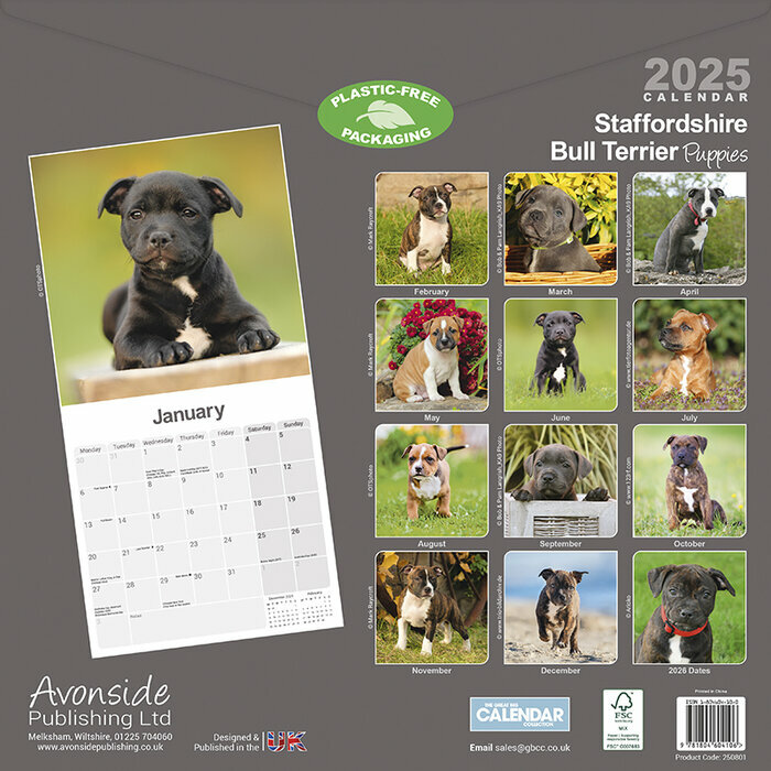 Calendrier Mural 2025 Staffordshire Bull Terrier
