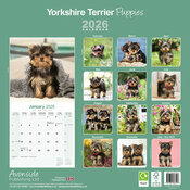 Calendrier papier Yorkshire 2026