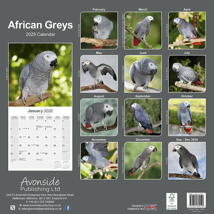 Calendrier Gris du Gabon 2025