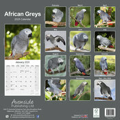 Calendrier Gris du Gabon 2025