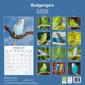 Calendrier Oiseaux Perruches 2025