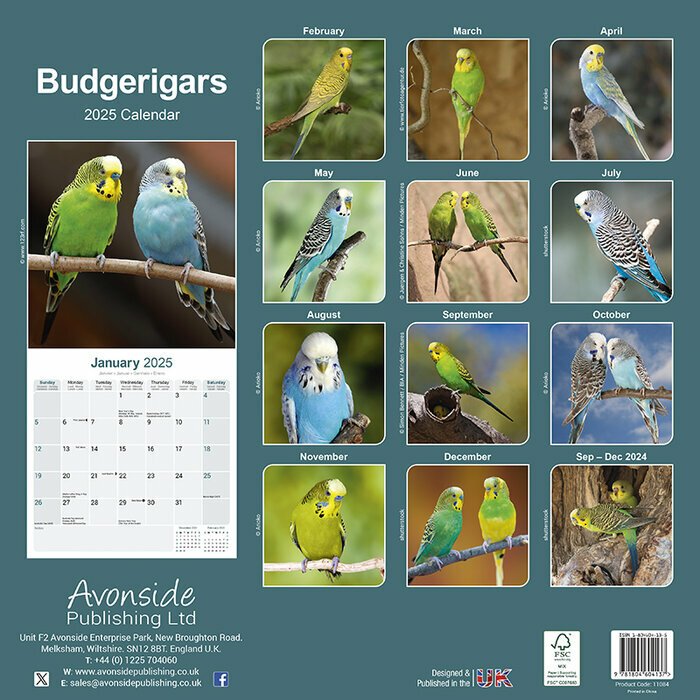 Calendrier Oiseaux Perruches 2025