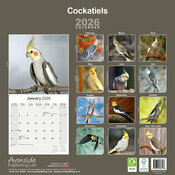 Calendrier Mural 2025 Oiseaux Calopsitte