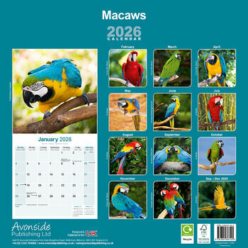 Calendrier 2025 Perroquet Ara Macaw