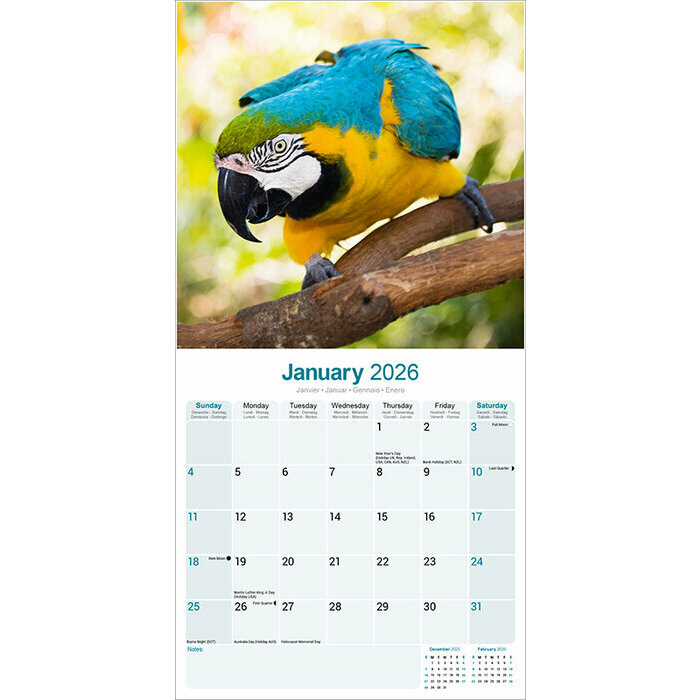 Calendrier Ara Perroquet papier 2026