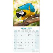 Calendrier Ara Perroquet papier 2026