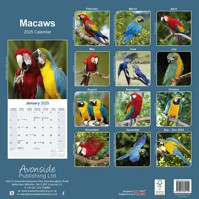 Calendrier Mural Ara Perrquet Multicolores 2025