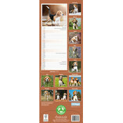 Calendrier Etroit 2026 Beagle