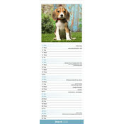 Calendrier papierEtroit 2026 Beagle