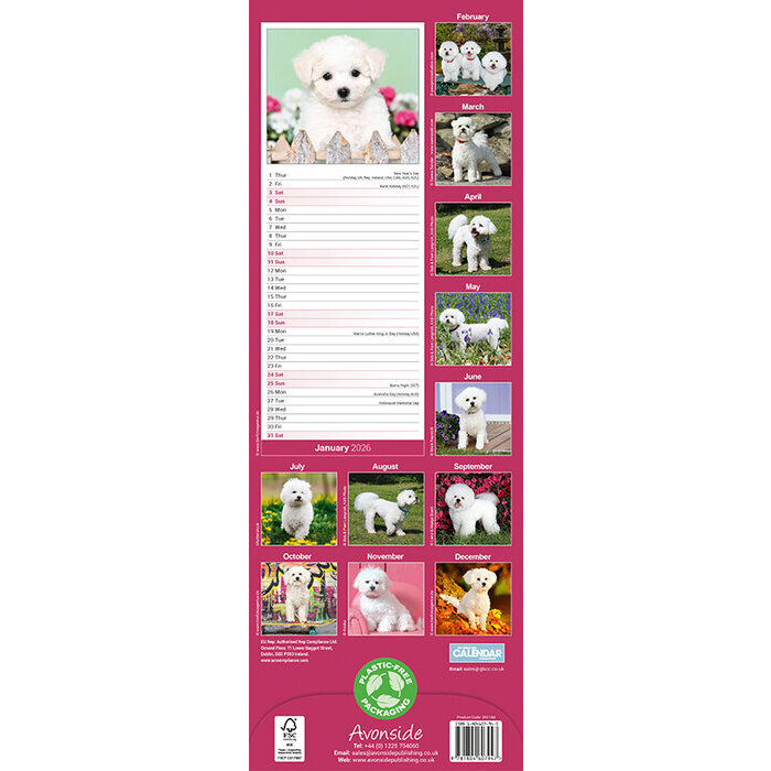 Calendrier Etroit Slim 2026 Bichon Fris