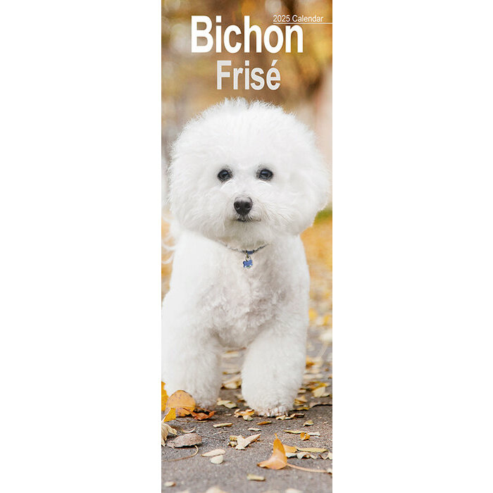Calendrier Mural Etroit Slim 2025 Bichon Fris