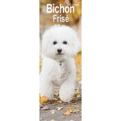 Calendrier Mural Etroit Slim 2025 Bichon Fris