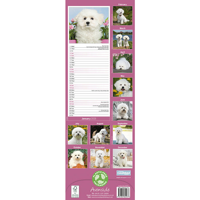 Calendrier 2025 Mural Bichon Fris