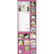 Calendrier 2025 Mural Bichon Fris