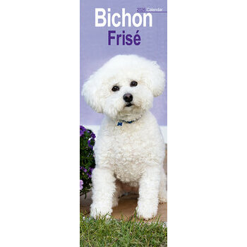 Calendrier Etroit Slim 2025 Bichon frisé