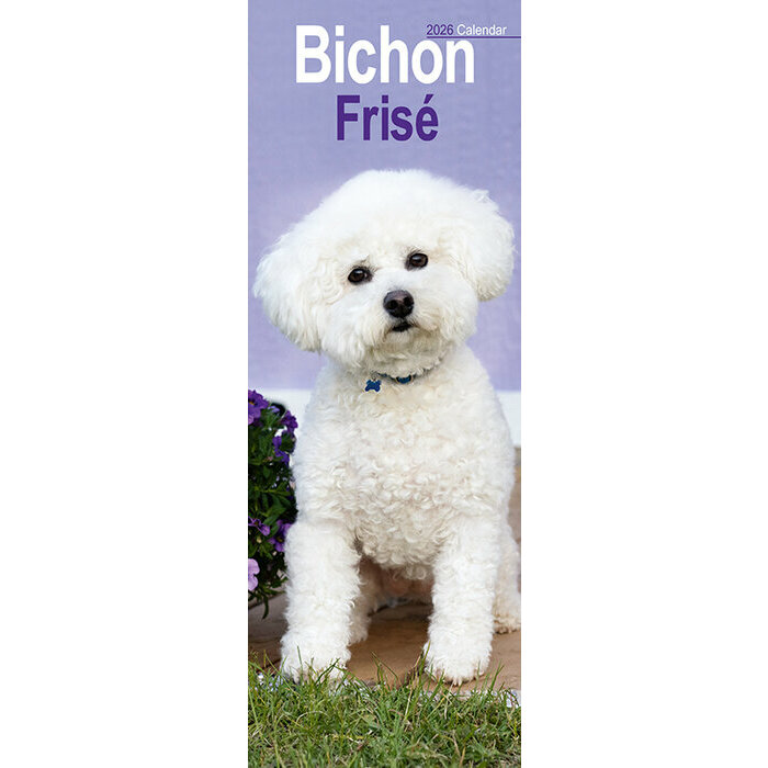 Calendrier Mural Etroit Slim 2026 Bichon Fris