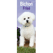 Calendrier Mural Etroit Slim 2026 Bichon Fris