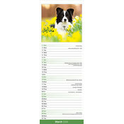 Calendrier Etroit Mural 2025 Border Collie