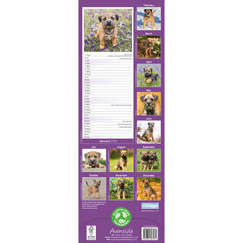 Calendrier Etroit Slim 2026 Border Terrier