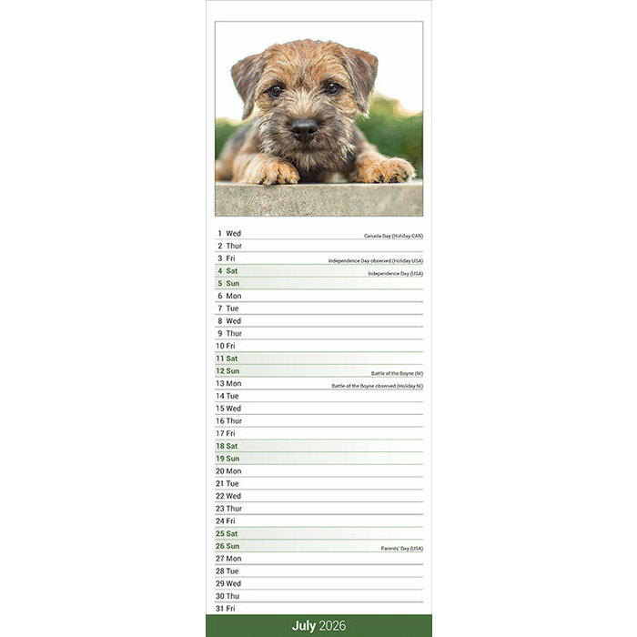 Calendrier papier Etroit 2026 Border Terrier