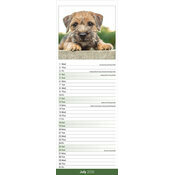 Calendrier papier Etroit 2026 Border Terrier