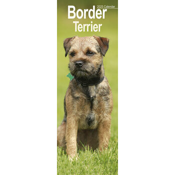Calendrier Etroit Slim 2025 Border Terrier