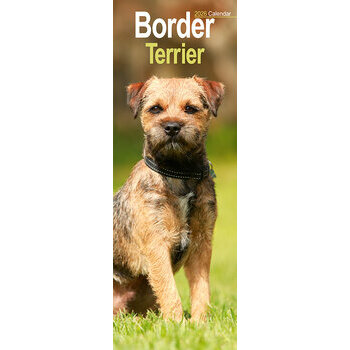Calendrier Etroit Slim 2026 Border Terrier